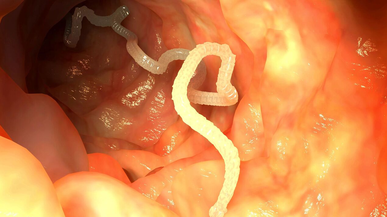 parasit dalam usus