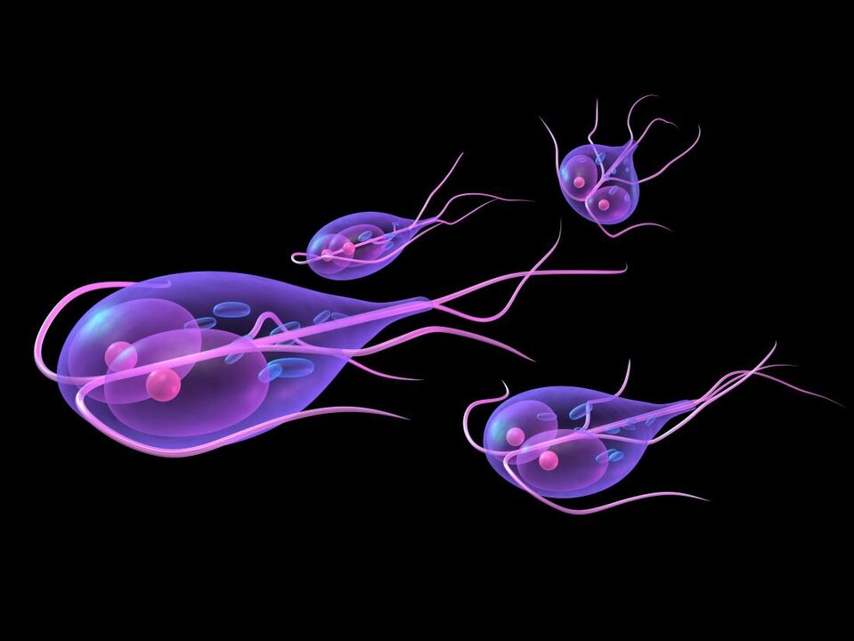 Giardia dari tubuh manusia