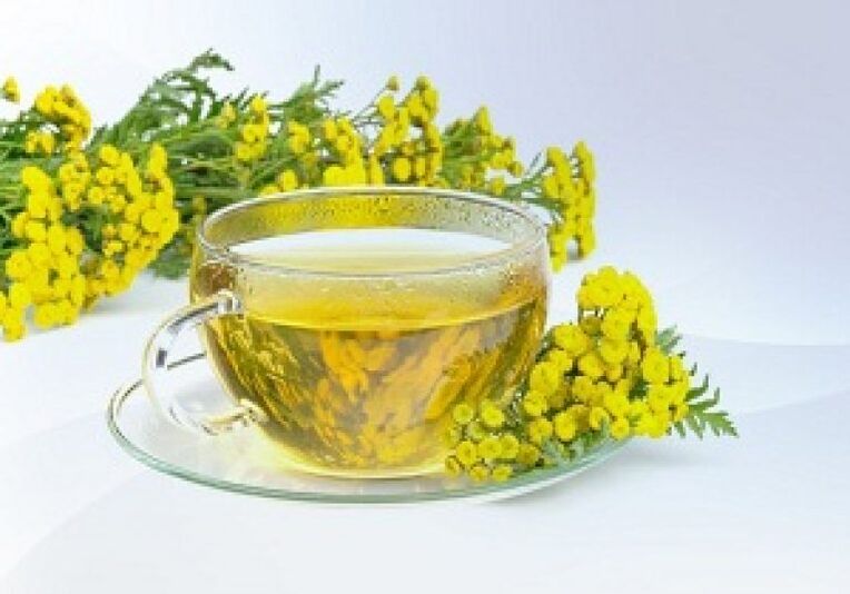 Infusi Tansy akan membantu menyingkirkan parasit dalam badan